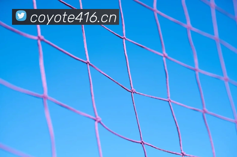 体育网官网登录入口平台生态图