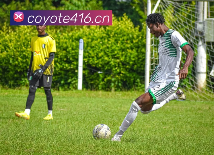 体育网官网登录入口APP 封面图